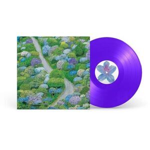 Between The Richness - Violet